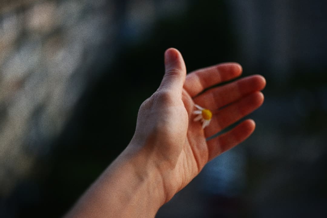 实在底色里的当家力气！爱奇艺《姐姐当家》用四位姐姐的当家故事，投射中女的日子镜像